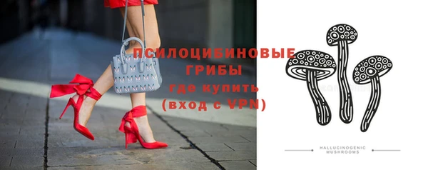 apvp Арсеньев