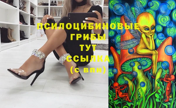 apvp Арсеньев