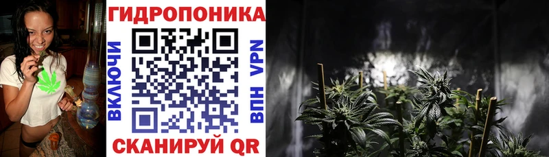Каннабис AK-47 Макушино